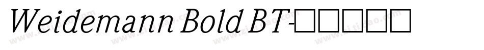 Weidemann Bold BT字体转换
